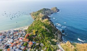 Khám Phá Văn Hóa, Lịch Sử & Thiên Nhiên Quy Nhơn