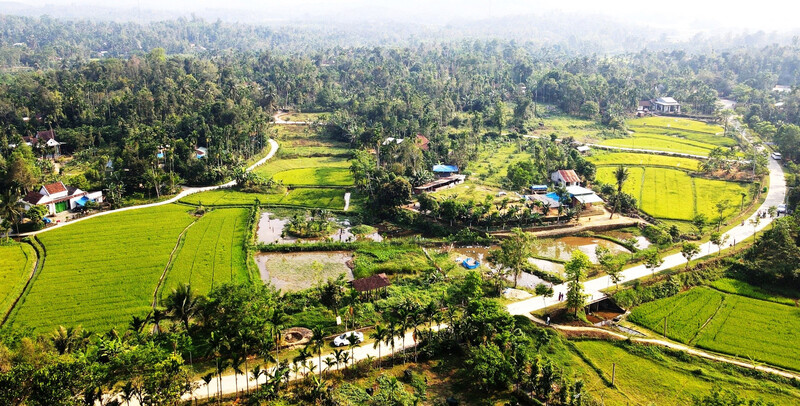 xe du lịch tiên phước